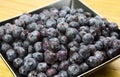 Frozen Blueberries Royalty Free Stock Photo