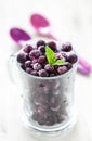 Frozen blueberries in a glass Royalty Free Stock Photo