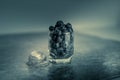 Frozen blueberries in a glass Royalty Free Stock Photo