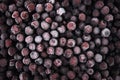 Frozen blueberry background Royalty Free Stock Photo