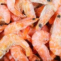 Frozen boiled red shrimps close up Royalty Free Stock Photo