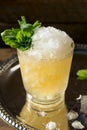 Frozen Boozy Bourbon Mint Julep