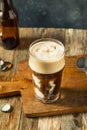 Frozen Boozy Irish Stout Beer Ice Cream Float