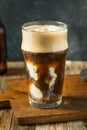 Frozen Boozy Irish Stout Beer Ice Cream Float