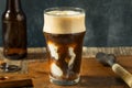 Frozen Boozy Irish Stout Beer Ice Cream Float