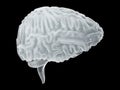 Frozen brain cryogenic concept. Cerebellum. Human brain freeze 3D illustration