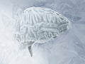 Frozen brain cryogenic concept. Cerebellum. Human brain freeze 3D illustration