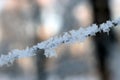 Texture of frost close up - black tree branches and white snow, winter lace fros