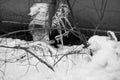 Frozen branches and downpipe in the snow, black and white photo Royalty Free Stock Photo