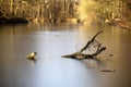 Frozen lake