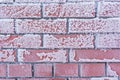 Frozen brick grunge red wall texture Royalty Free Stock Photo