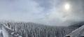 Frozen bridge over woods