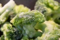 Frozen Broccoli Pieces