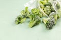 Frozen broccoli spilled out of a plastic bag. Light background with copy space. Selective focus