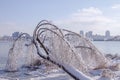 Frozen broken tree branches covered by ice after an ice storm