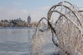 Frozen broken tree branches covered by ice after an ice storm