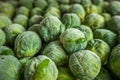frozen brussels sprouts background closeup Royalty Free Stock Photo