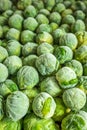 frozen brussels sprouts background closeup Royalty Free Stock Photo