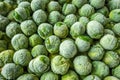 frozen brussels sprouts background closeup Royalty Free Stock Photo