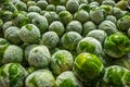 frozen brussels sprouts background closeup Royalty Free Stock Photo