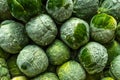 frozen brussels sprouts background closeup Royalty Free Stock Photo