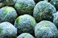 frozen brussels sprouts background closeup Royalty Free Stock Photo