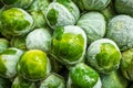 frozen brussels sprouts background closeup Royalty Free Stock Photo