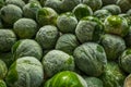 frozen brussels sprouts background closeup Royalty Free Stock Photo