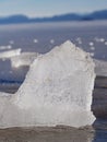 Frozen bubbles in drifting floe. Arctic ice slowly melting