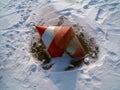 Frozen Buoy