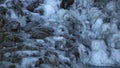 Frozen Cascading Water Over Black Rocks Royalty Free Stock Photo