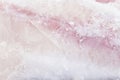 Frozen Catfish Fillet Closeup as Background Royalty Free Stock Photo