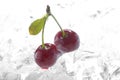 Frozen cherries