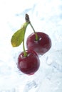 Frozen cherries Royalty Free Stock Photo