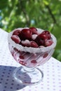 Frozen Cherries in a Glass Cup Royalty Free Stock Photo