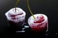 Frozen cherries in ice cubes Royalty Free Stock Photo