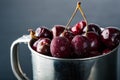 Frozen cherries in a metal cup on a dark grey background. Toned, dark moody.