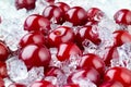 Frozen cherry. Fresh organic berries with ice macro.