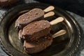 Frozen Chocolate Covered Ice Cream Bars