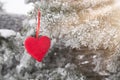 Frozen christmas tree and blurred snow with red heart.