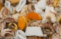 Frozen Chunks of Seafood or Sea Cocktail Royalty Free Stock Photo