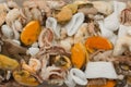 Frozen Chunks of Seafood or Sea Cocktail Royalty Free Stock Photo