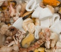 Frozen Chunks of Seafood or Sea Cocktail Royalty Free Stock Photo