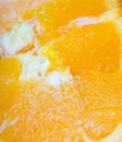 Frozen sliced orange Royalty Free Stock Photo