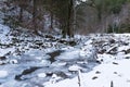 Frozen ,clean river at winter in the Carpathian mountains, a lot of pine trees and branches