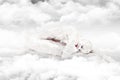 Frozen in the clouds Royalty Free Stock Photo