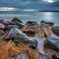 The frozen coast of the Baltic Sea in Gdynia OrÃâowo. Poland