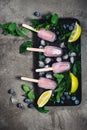 Frozen cocktail. Blueberry lemonade popsicles Royalty Free Stock Photo