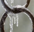 Frozen copper rings with icicles