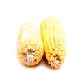 Frozen corn cobs